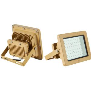 110 Lm / W 60W Explosion Proof Light Fixture CE / ROHS / EX Passed High