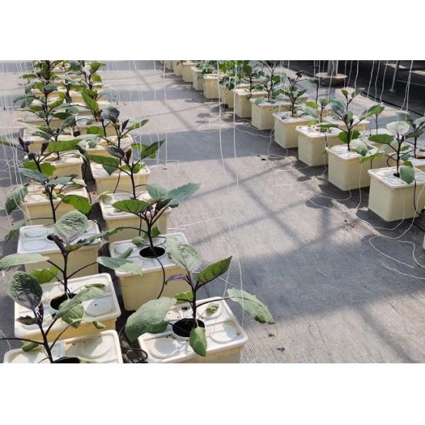 Pp Soilless Hydroponic System Medium 30x25x23cm Beige Dutch Bucket Growing Tomatoes Cucumber Zucchini