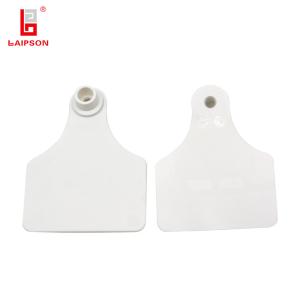 BASF TPU Medium Cattle Ear Tags Husbandry Animal Ear Tag For Bull And Dairy