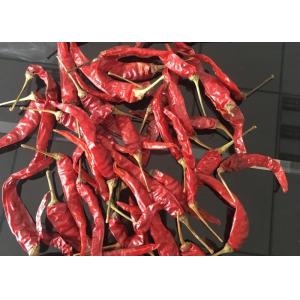 Red Yidu Chili Tianying Jinta Chili American Red Chilli New Crop FDA HACCP ISO