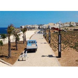 Professional Hybrid Solar And Wind Power Generation 600w Maglev Wind Turbine