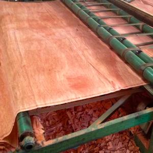 Composite Rotary Cut Wood Veneer , Customize Poplar Core Wood Face Veneer