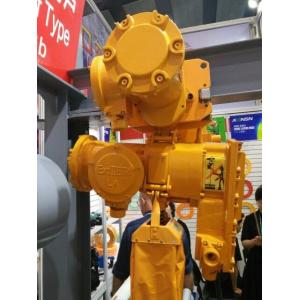 Yellow Color Motorised Chain Hoist 2T 3T 5T Lifting Usage Pendant Control