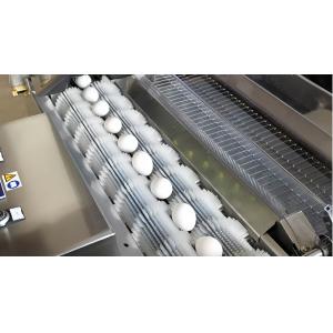 Industrial Chicken Egg Washing Machine Automatic Chicken Egg Processing Line