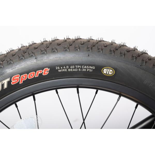 Customized Dual Motor Electric Mountain Bike with Central Motor and Max Speed 50km/h