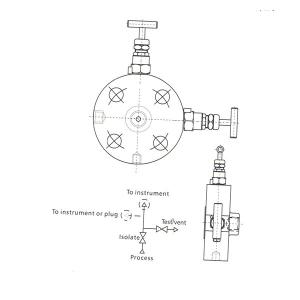 1000 Psi 1/4 BSPT Instrument Manifold Valve 200℃ Two way Manifold