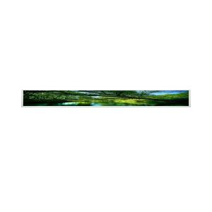 Cheap G229HAF02.0 22.9 inch 1920×165 Stretched Bar LCD Panel for AUO for sale