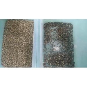 High Definition 4 Chutes Pepper Sorting Machine For Seed Spice