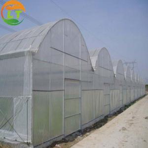 Vegetables Growing Multi-span Film Greenhouse 3m Height with Hot-dip Galvanized