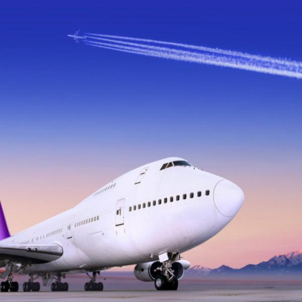 Quality Project Import Freight Forwarding Services Broker DDP Sea Shipping From Shanghai China To France Amazon wholesale