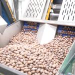 8 Channels Nuts Sorting Machine 380V Pecans Sorting And Grading Machine