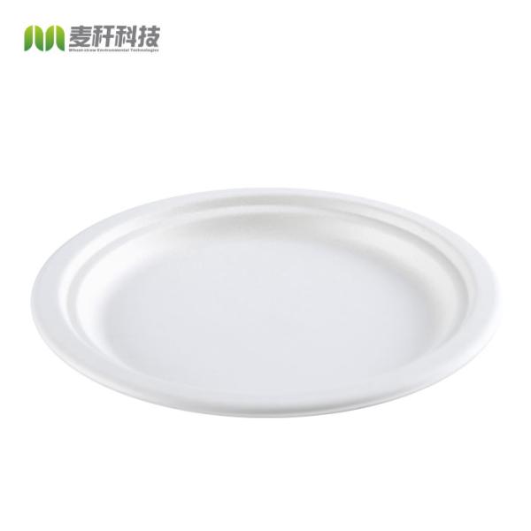 8.75 inch round white pulp biodegradable sugarcane party plates