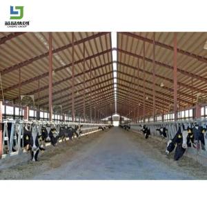 Hot Sale Prefabricated Light Structure Structure Prefab Poultry House Design