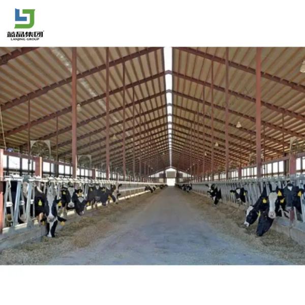 Hot Sale Prefabricated Light Structure Structure Prefab Poultry House Design