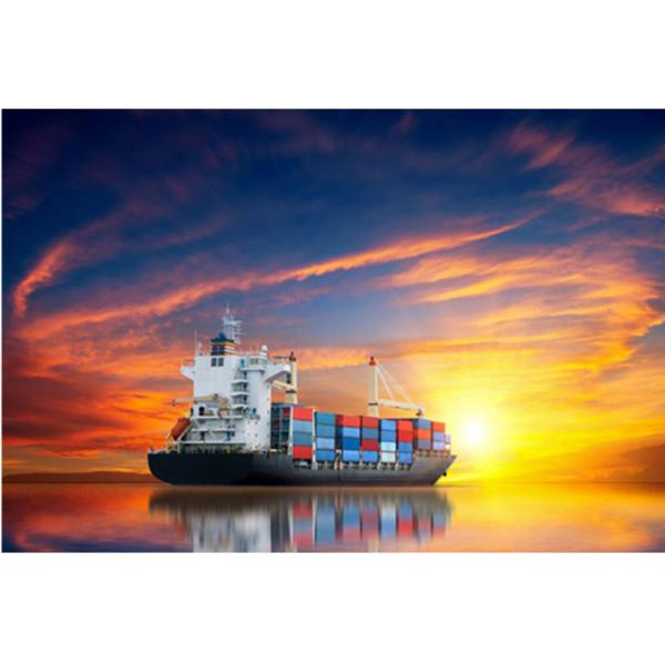 Quality Customs Clearance DDP Sea Shipping From China To USA Canada wholesale