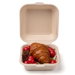 Customized Disposable Burger Boxes for Fast Food Printing Handling UV Coating