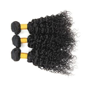 Double Weft Brazilian Water Wave Hair Extensions 3 Bundles No Shedding