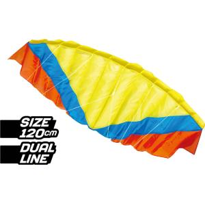 Fashion Pattern Parafoil Kite With Convenient Carry And Environment Friendly