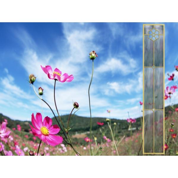 Custom Design Clear Tempered Safety Glass 250 Degrees Thermal Shock