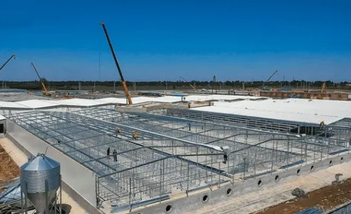 Prefabricated Modular Building for Modern Farms and Equestrian Facilities