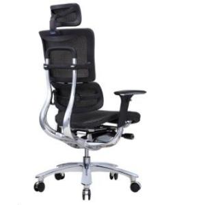 New Design Ergonomic Mesh Chair with Footrest