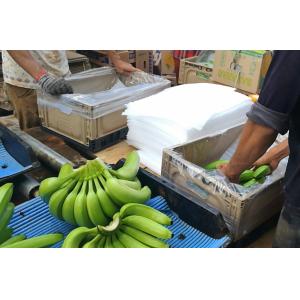 Plastic Stackable Vegetable Crates Heavy Duty Collapsible Plastic Crate PP