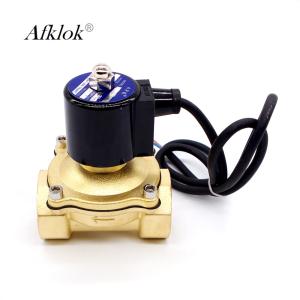 2 Way 1-1/4" Brass Direct Acting Underwater Solenoid Valve DC 12V