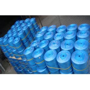 UV Stabilization 1200m/Kg 1500m/Kg Tomato Pepper PP Twine Vineyard Agricultural