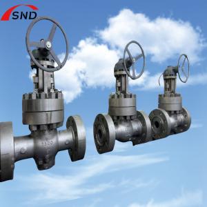 6 Inch 5A-2500 Class Dual Stainless Steel Gate Valve with Middle Bolt Design for