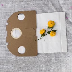 China Carton Collar Vowerk Tiger 250 251 252 Replacement Filter Bag For Vacuum Cleaner on sale