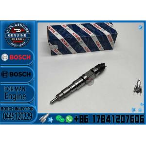 Common Rail Injector 0 445 120 229 Auto Fuel Injector 0445 120 229 0445120229
