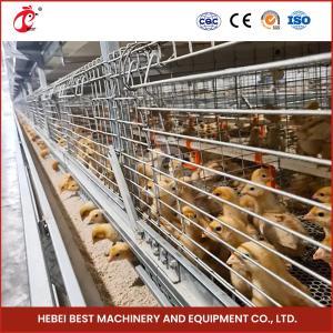 China Hot Dipped Galvanized Chick Brooder Cage Automatic Ventilation Iris on sale