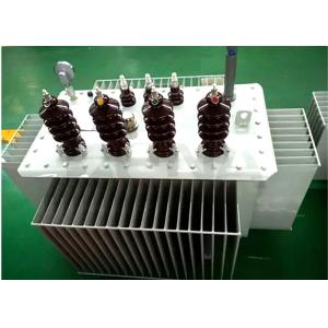 S11 Copper Winding Three Phase Oil Immersed Transformer 20kv For Enterprise /