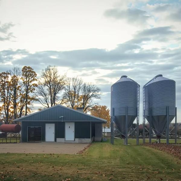 Q235 Q345 Steel Structure Chicken House Farm Poultry Shed Construction