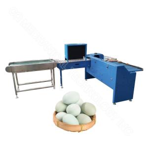 Egg Processing Machinery Egg Sorter Egg Sorter Machine Egg Grading Machine