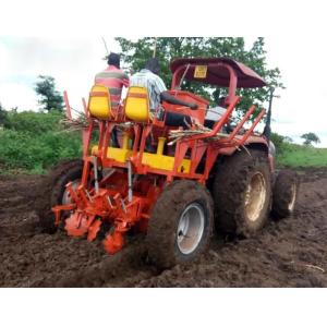 Flat Garden Seeder Row Planter , Chop L14cm Paddy Two Row Planter