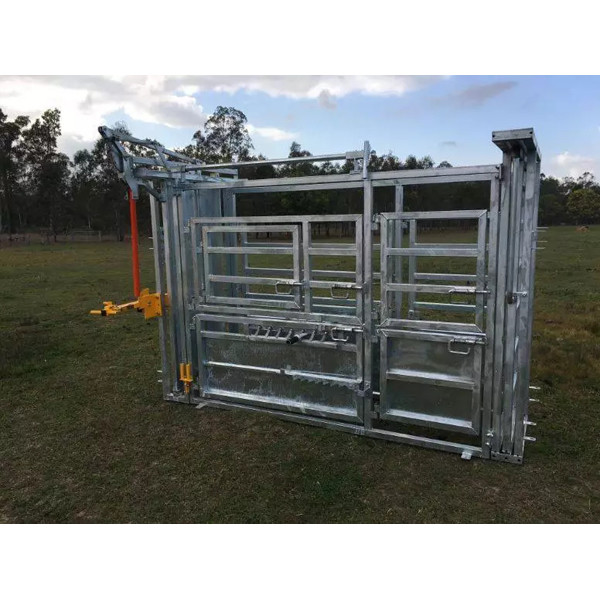 Australia Standard Vet Cattle Crush without Y section