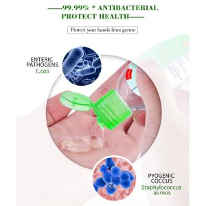 Waterless Instant Hand Sanitizer Anti Bacteria Moisturizing Liquid No Clean