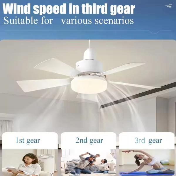 Quality wholesale    Dimmable Lamp E27 Socket LED Bulb 5 Blade Fan Light Led Bulb With Fan wholesale