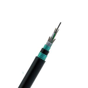 G652D 12 Fibers Armoured Fibre Optic Cable Moisture Resistant
