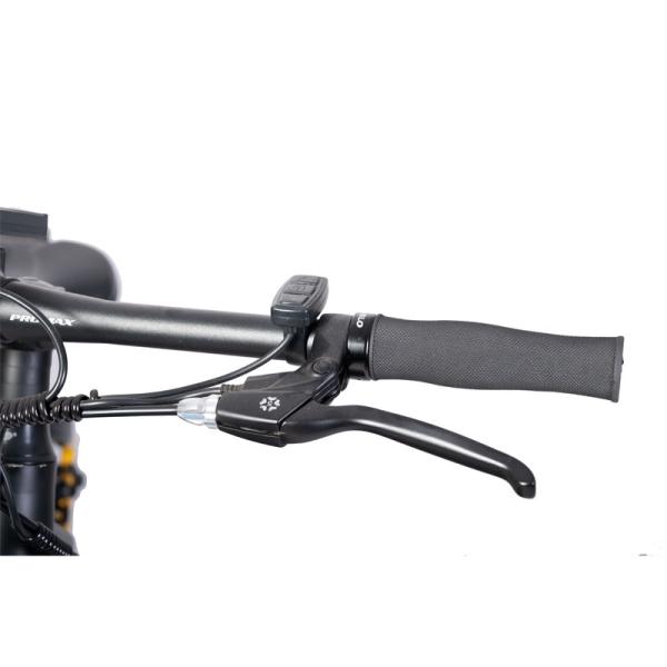 Customized Dual Motor Electric Mountain Bike with Central Motor and Max Speed 50km/h