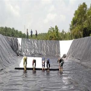 Cheap 1m-8m Width HDPE Geomembrane for Oily Wastewater and Mine Soil Remediation Management for sale