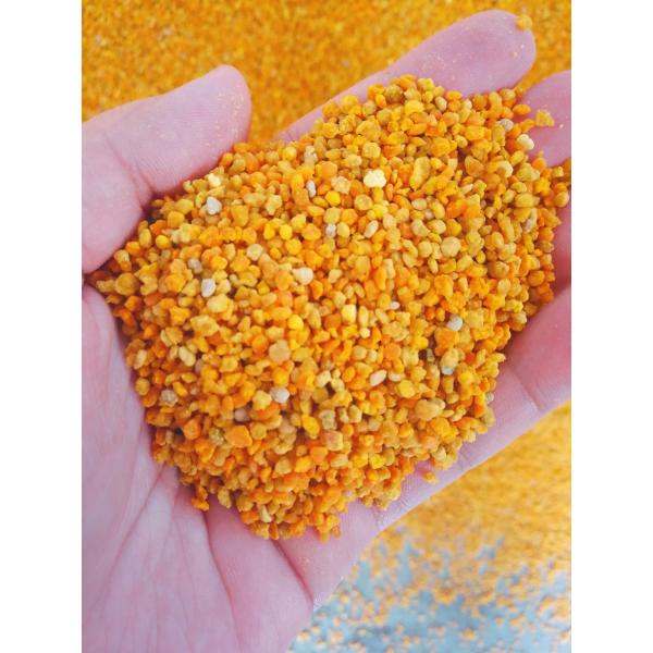 Quality Mixed Fresh Raw Bee Pollen Full Of Nutricion Big Granual wholesale