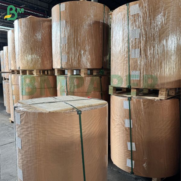 Quality 95 x 130cm 250gsm 270gsm Coating One Side Triplex Board For High-end Package Box wholesale