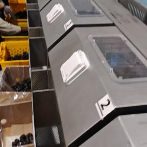 Smart Dates Sorting Machine, Automatic System, 6 lanes+10 outlets, 1.8 Tons per