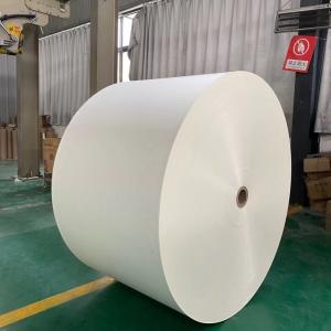 PE Jumbo Paper Roll Raw Material Required For Paper Cup Manufacturing