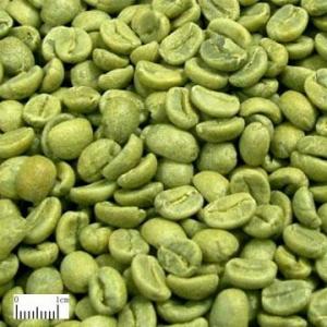 China Natural Green Coffee Bean Extract with 50% Chlorogenic Acid on sale