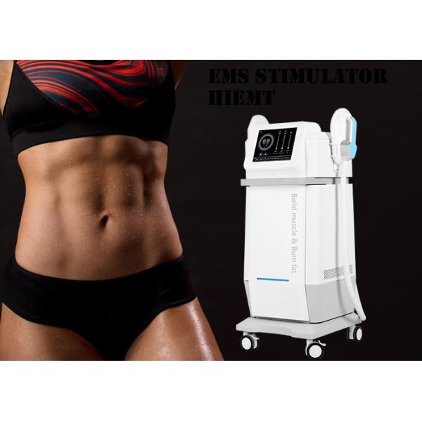 Quality Upgraded Power Tesla Hiemt Muscle Machine Commercial wholesale