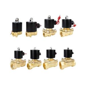 Customized Brass Stainless Steel Two Way Solenoid Valve with Pn1.6MPa Nominal