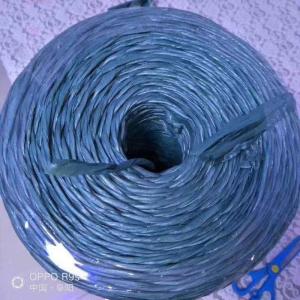 Customized 3/4/8/12 Strands PP Rope with and 2mm-60mm Specifications